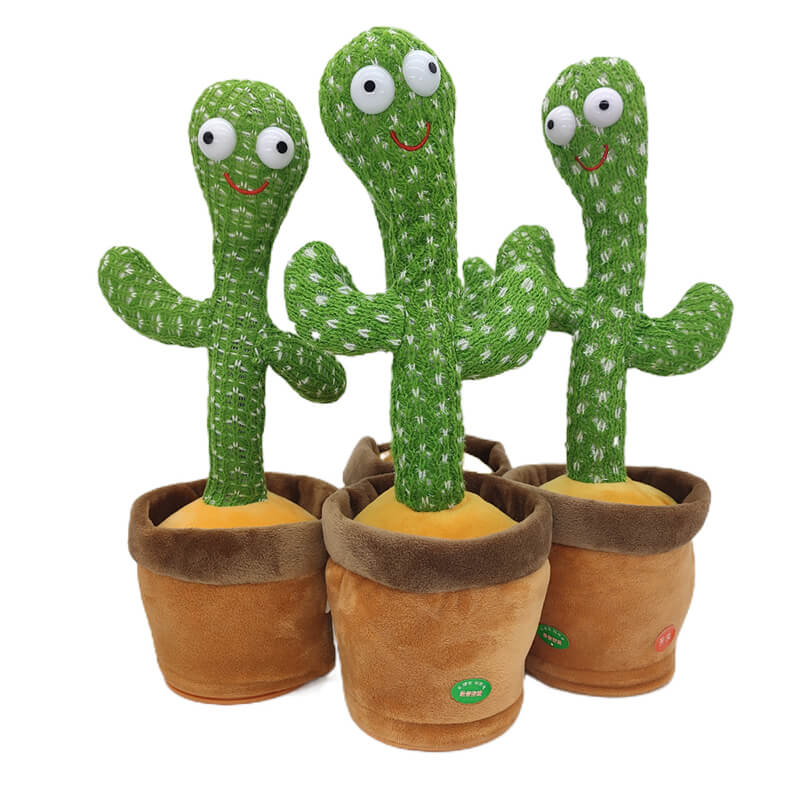 Dancing Cactus – მოცეკვავე კაქტუსი
